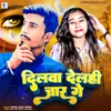 About Dilwa Delahi Jaar Ge Song