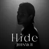 About แค่เงา (Hide) Song