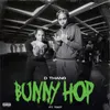 About Bunny Hop Song