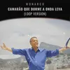 About Camarão Que Dorme a Onda Leva (Loop Version) Song