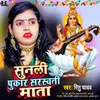 About Sunli Pukar Sarswati Mata Song