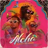 About Aloha (feat. Darnelt, Relax Buay, Flovv Coco) Song