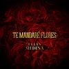 About Te Mandaré Flores Song