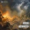 About The Storm (Extended Mix) Song