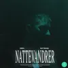 About Nattevandrer Song