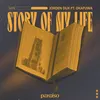 About Story Of My Life (feat. okafuwa) Song
