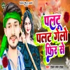 About Paltu Palat Gelo Fir Se Song