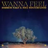 About Wanna Feel Song