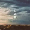 About S.O.B. Song