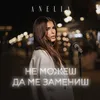 About Не можеш да ме замениш Song