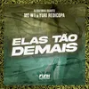 About ELAS TÃO DEMAIS (feat. Funk Universitário) Song