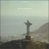 About Rio de Janeiro Song