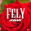 About Fely Song