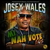 About Mi Nah Vote Song