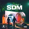 About SDM (Spray D Money) Song