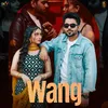 About Wang Song