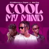 About Cool My Mind (feat. Rayson and John Frog) Song
