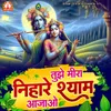 About Tujhe Meera Nihare Shyam Ajao Song