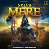 About Shiva Mere Song