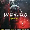 About Dil Todke Tu Q Rulata Hai Song