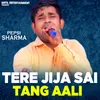 About Tere Jija Sai Tang Aali Song