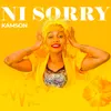 About Ni Sorry Song