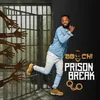 About Prison Break Song