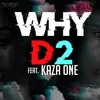 About Why (feat. Kaza One) Song