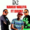 About Nangu Waliya (feat. Drimz) Song