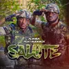 About Salute (feat. Rudeboy) Song