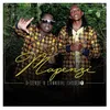 About Mapenzi Song