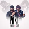 About Pami Song