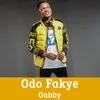 About Odo Fakye Song