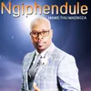 About NGIPHENDULE Song