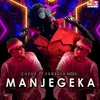 About Manjegeka (feat. Vanessa Mdee) Song