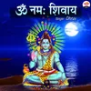 About Om Namah Shivaye Song