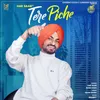 About Tere Piche Song