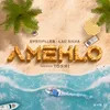 About Amehlo (feat. Toshi) Song