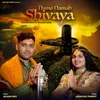 About Namo Namah Shivaya Song