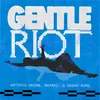 About Gentle Riot Song
