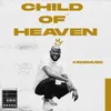 About Child Of Heaven Song