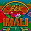 About Imali (feat. Mjoox45 & Tracy) Song