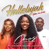 About Hallelujah (Me Re Jirie) [feat. Godwin Adams & Justina] Song