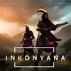 About INKONYANA Song