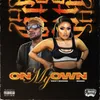 About On My Own (feat. Bagga) Song