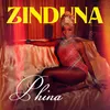 About Zinduna Song