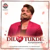 About Dil De Tukde Song