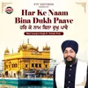 About Har Ke Naam Bina Dukh Paave Song