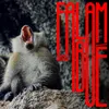 Falam Bué (feat. Pité)