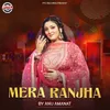 About Mera Ranjha Song